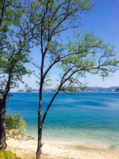 Apartment Umag Nelly מראה חיצוני תמונה