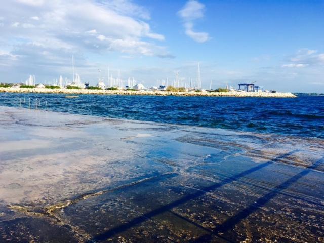 Apartment Umag Nelly מראה חיצוני תמונה